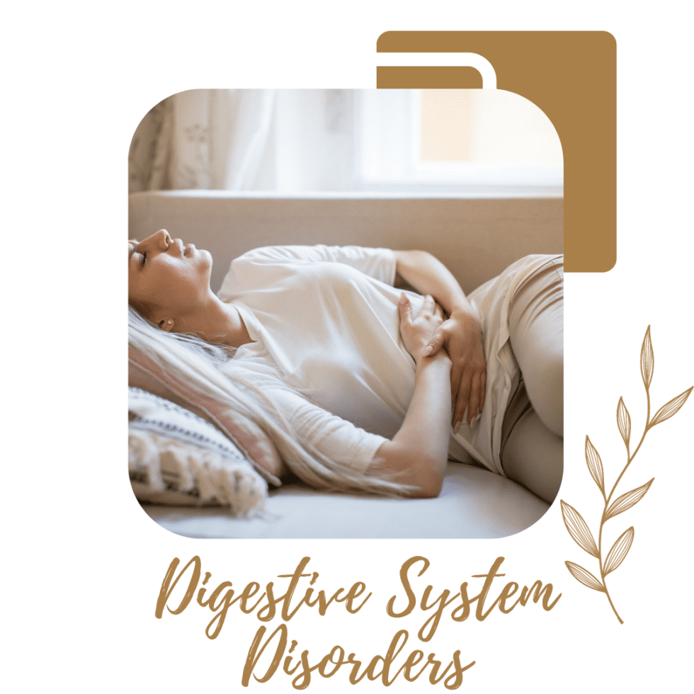 Digestive System Disorders On Point Natural Medicine Newcastle